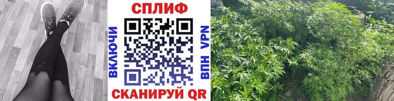 Купить закладку Кетамин  Амфетамин  Гашиш  Псилоцибиновые грибы  Кокаин  APVP  Меф мяу мяу  Бошки Шишки  Муравленко