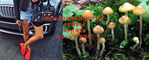 PSILOCYBIN Нефтегорск