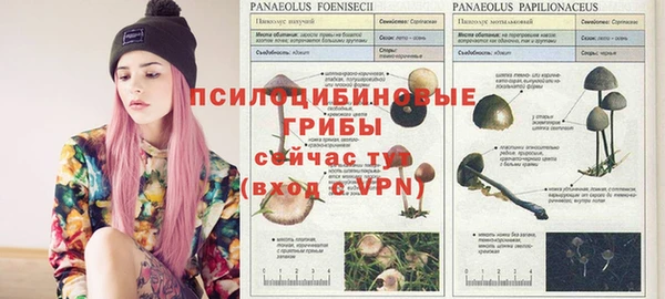 мдма Нефтекумск