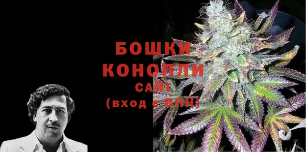 PSILOCYBIN Нефтегорск