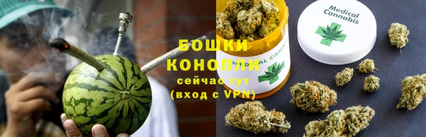 мдпв Нея