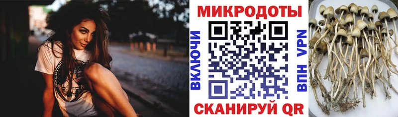 Галлюциногенные грибы Psilocybine cubensis  Купить где  Муравленко 